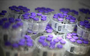 Pfizer bắt đầu thử nghiệm vaccine ngừa COVID-19 ở trẻ em dưới 12 tuổi