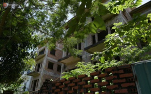 Cận cảnh các ngôi biệt thự "ma" ở Hà Nội bị bỏ hoang nhiều năm, rêu phong phủ kín các bức tường