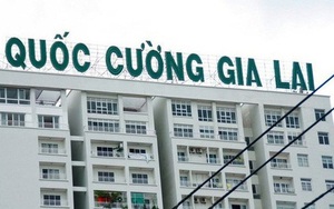 Quốc Cường Gia Lai (QCG) quyết định giải thể Bất động sản Quốc Cường Phước Kiển