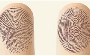 Nhìn ngón tay cái biết ngay cuộc đời sang giàu hay nghèo khó