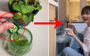 Cô gái gây tranh cãi khi dùng dầu gió để làm kem, hương vị cũng là điều khiến nhiều người tò mò