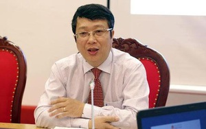 Hàng vạn cành hoa Đà Lạt không xuất khẩu được phải đổ bỏ, Bộ Nông nghiệp nói gì?
