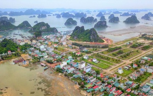 Chi tiết về loạt dự án vừa bị tỉnh Quảng Ninh 'khai tử'