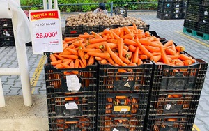 TP.HCM: Siêu thị mang bắp cải, cà chua Đà Lạt… ra bãi xe bán "giá sốc"