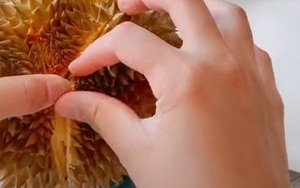 Cô gái khoe quả sầu riêng có 25k mà đầy ắp múi, dân mạng thi nhau hỏi chỗ mua nhưng biết lý do thì... cụt cả hứng