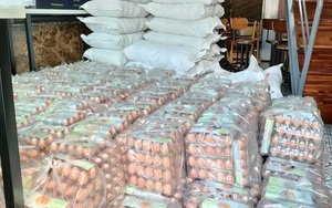 Trứng gà bình ổn mua vào 31.000 đồng/chục, bán ra 29.000 đồng/chục, doanh nghiệp gồng lỗ