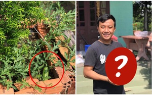 Vô tình "tặng" đất 1 hạt dưa mọc dại, vài tháng sau người đàn ông nhận món quà "khổng lồ"