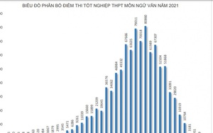 3 thí sinh đạt điểm 10 môn Ngữ văn trong kỳ thi tốt nghiệp THPT 2021 đợt 1