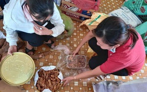 Bình Định: Người bệnh ung thư, vợ chồng già... góp từng gói mì, chai nước mắm gửi hỗ trợ người dân miền Nam