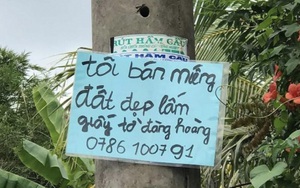 ‘Vaccine’ nào trị sốt đất