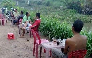 Hai chủ quán và 9 người tụ tập đánh bida, uống cà phê bị phạt 165 triệu đồng