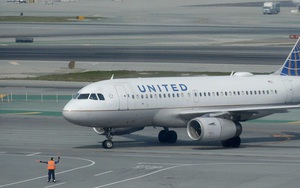 Clip: Chim bay loạn xạ trong khoang hành khách khiến chuyến bay bị chậm giờ