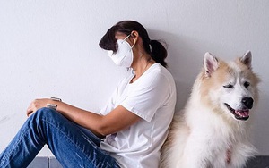 Nghiên cứu: Thú cưng an ủi người đang đau khổ tốt hơn cả gia đình và bạn bè thân thiết