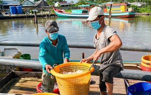 Ngư dân trúng ruốc