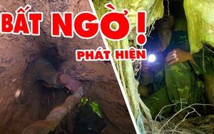 Vừa lấy được tổ mật ong, nhóm thợ rừng lại thấy gốc thông rỗng - phát hiện đặc sản giá nửa triệu đồng 1 kg