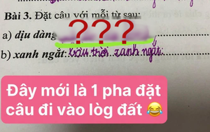 Yêu cầu đặt câu với từ 'dịu dàng', cậu bé chỉ ghi 4 chữ khiến giáo viên cười lăn, nhận xét: Pha làm bài đi vào lòng đất!