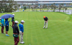 Tổng cục Thuế yêu làm rõ vi phạm của Phó Cục trưởng Cục Thuế Bình Định chơi golf giữa mùa dịch