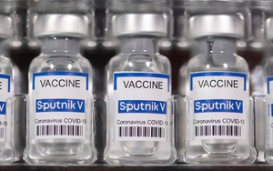 Từ việc Vimedimex trần 9 phiên sau tin nhập vaccine: Chân dung bộ tứ thống lĩnh mảng nhập khẩu thuốc với tổng doanh thu 3 tỷ USD nhưng lãi rất thấp