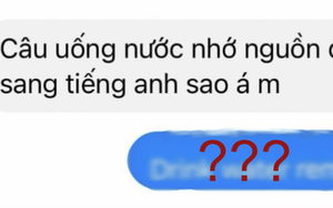 Bạn bè nhờ dịch hộ tục ngữ sang tiếng Anh, nữ sinh viết lại 1 câu tức anh ách, dân 9.0 IELTS cũng phải bó tay