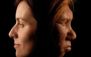 Nghiên cứu DNA chỉ ra rằng, chỉ ít hơn 2% trong gen con người thực sự là 'con người'