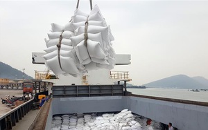 Hà Nội tặng TP HCM 5 nghìn tấn gạo, Bình Dương 1 nghìn tấn gạo