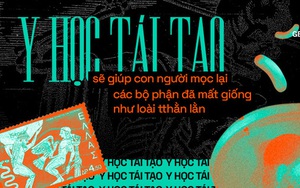 Y học tái tạo sẽ giúp con người mọc lại các bộ phận đã mất giống như loài thằn lằn