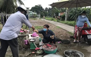 TP HCM: Người dân một hẻm ở Bình Tân vô tư họp chợ giữa tâm dịch