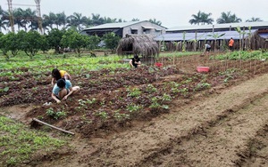 Đại gia lao tâm khổ tứ vì chôn hàng chục tỉ đồng vào farmstay, mua đất 6 triệu đồng/m2 lúc sốt, rao bán mãi không ai mua, phải bán cho chủ cũ 3 triệu đồng/m2