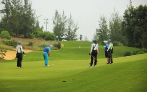 Tạm đình chỉ 15 ngày Phó Cục trưởng Cục Thuế tỉnh chơi golf giữa mùa dịch để kiểm điểm trách nhiệm