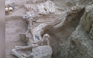 Tìm thấy nghĩa địa tê giác, ngựa và hà mã cổ đại