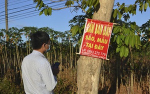 Giàu lên nhờ bất động sản, nhà đầu tư kỳ cựu này 'bật mí' bí quyết ít gặp rủi ro