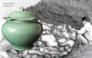 Chàng trai đào huyệt tìm thấy chiếc bình lá sen: Khi đội khảo cổ đến nơi, họ đã xới tung cả khu đất!