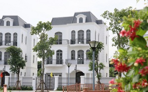 Giới siêu giàu Hà Nội sẵn sàng trả gần 200 tỷ cho một dinh thự nhưng nhà đầu tư không dám “lướt sóng”