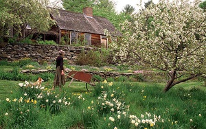 Bỏ phố về quê, bà cụ U100 biến mảnh đất quê thành căn nhà vườn trị giá 2 triệu USD, tận hưởng cuộc sống đẹp như tranh vẽ