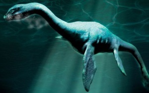 Quái vật hồ Loch Ness lại bất ngờ xuất hiện