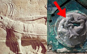 Mày mò tìm kiếm ở thành phố diệt vong Pompeii, các nhà khoa học sửng sốt khi khám phá ra thứ "độc nhất vô nhị" vô cùng quý giá