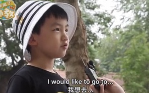 Khách Tây bắt chuyện Tiếng Anh, ai ngờ gặp trúng thần đồng Việt Nam, kinh ngạc trước màn đối đáp của cậu bé 7 tuổi