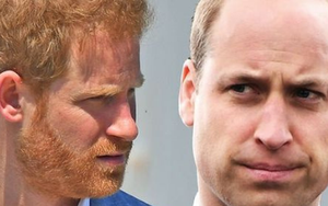 Đăng bài chúc mừng sinh nhật Harry, vợ chồng Hoàng tử William ''bị bóc trần'' lạnh nhạt với em trai, công chúng chua xót thừa nhận sự thật