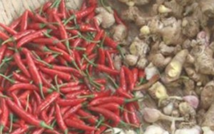Bí quyết bảo quản gừng, tỏi, ớt tươi lâu, để cả tháng không lo bị hỏng
