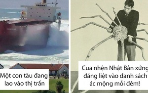 21 hình ảnh những thứ siêu to khổng lồ đến mức nghẹt thở, càng nhìn càng thấy mình quá bé nhỏ