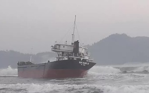 Bị tàu hàng đâm, 2 ngư dân trên tàu cá Bình Định rơi xuống biển mất tích