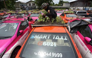 Bị "bỏ không" vì Covid, hàng nghìn taxi ở Thái Lan biến thành... vườn rau cứu đói tài xế