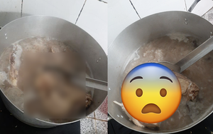 Oan ức không hiểu vì sao bị ba chửi suốt bữa ăn, cô nàng đăng hỏi kèm nồi thịt vịt khiến dân mạng té ngửa: Chưa đánh là may!