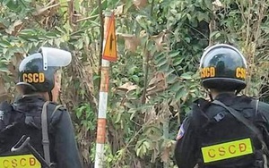 Công an bao vây vườn cam bắt kẻ trốn truy nã