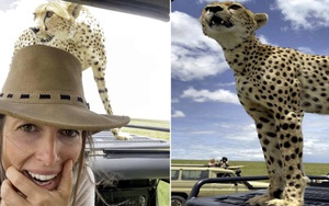 Khoảnh khắc đối đầu với loài báo chạy nhanh nhất thế giới