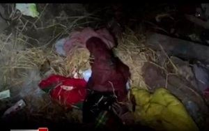 Hoa khôi xinh đẹp lỡ mang thai bị bố mẹ nhốt suốt 5 năm, cảnh tượng khi được giải cứu khiến ai cũng xót xa