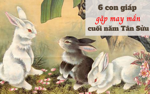 Tử vi 2 tuần cuối cùng của năm Âm lịch: 6 con giáp sau đây kể từ ngày rằm tháng Chạp, vận khí có nhiều chuyển biến tài lộc đổ về như thác