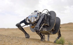 Trung Quốc tự phát triển robot "Bò mộng" 4 chân lớn nhất thế giới để vận chuyển, trinh sát