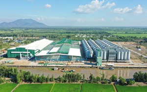 Tỉnh thành xây dựng nhà máy sản xuất gạo lớn nhất châu Á có những tiềm năng gì?