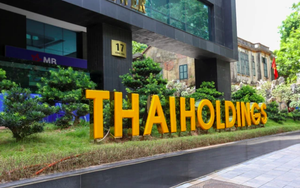 Tham vọng "bay vào vũ trụ", Thaiholdings có tiềm lực thế nào?